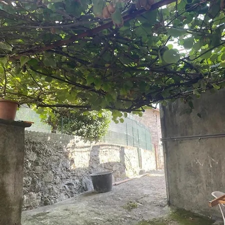 Jonny House Private Garden 別荘 *